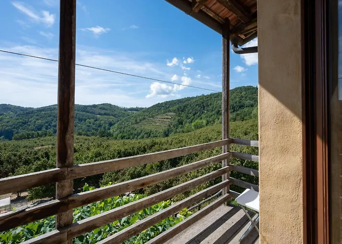 Giallo By Interhome Cortemilia